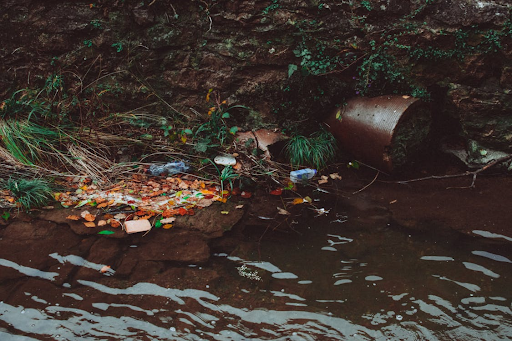 The Environmental Impact of Septic Tank Pumping